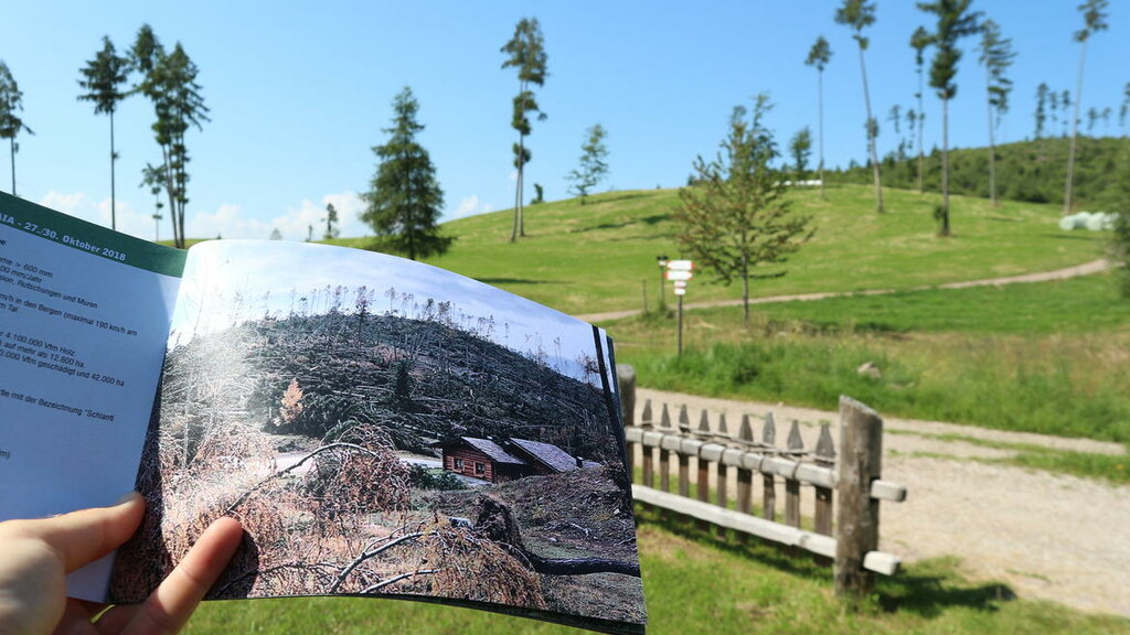 Foto Servizio foreste Provincia autonoma di Trento