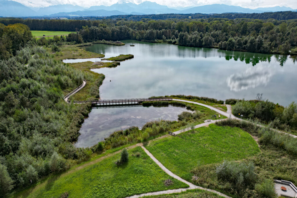 Land Salzburg/Melanie Hutter - Weitwörther Au im Flachgau, hier ist die Renaturierung bereits abgeschlossen und durch Besuchermöglichkeiten ist das Naturschutzgebiet auch für die Menschen erlebbar.