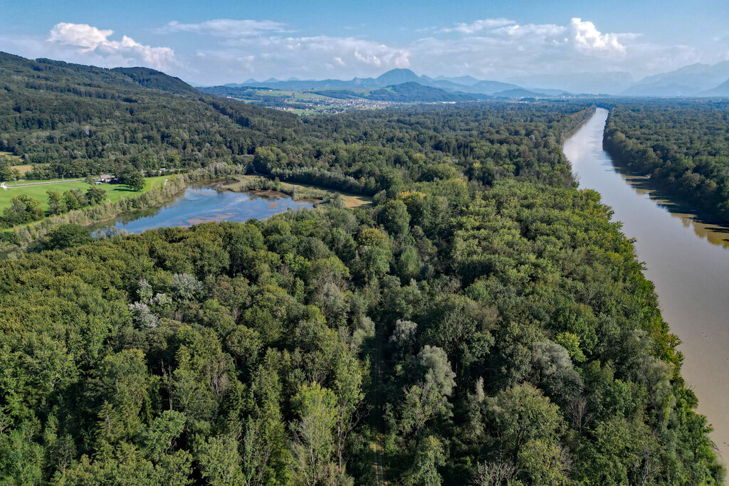 Land Salzburg/Melanie Hutter - Bis 2029 entsteht mit der Weitwörther Au und mit der Antheringer Au der Naturpark Salzachauen. 